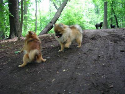June8_04_040.JPG