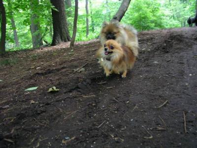 June8_04_041.JPG