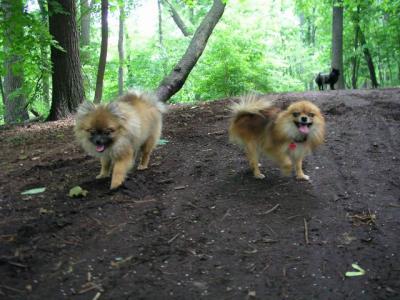 June8_04_042.JPG
