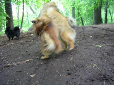 June8_04_049.JPG