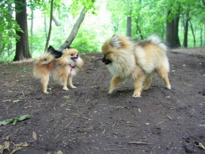 June8_04_050.JPG