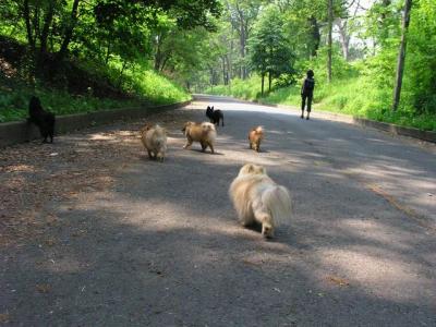June8_04_055.JPG
