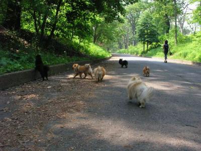 June8_04_056.JPG