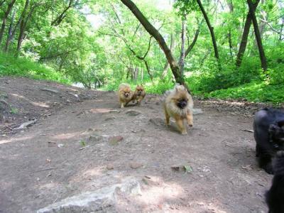 June8_04_058.JPG