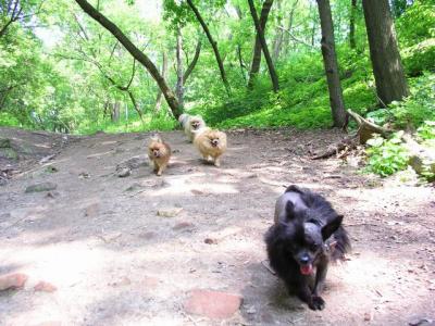 June8_04_061.JPG