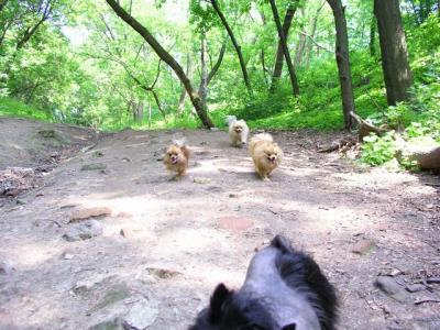 June8_04_062.JPG