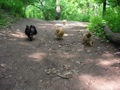 June8_04_082.JPG