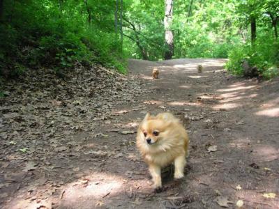 June8_04_083.JPG