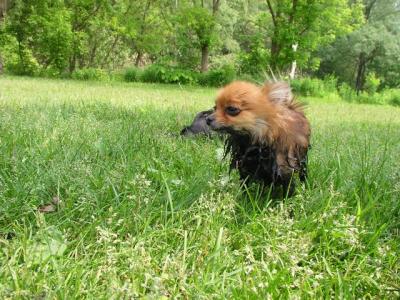 June8_04_109.JPG