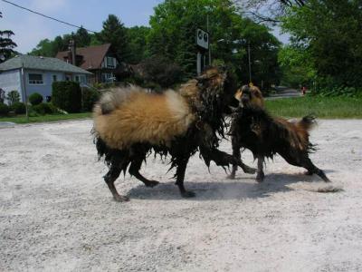 June8_04_131.JPG