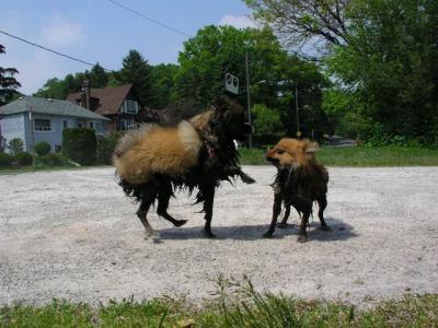 June8_04_135.JPG