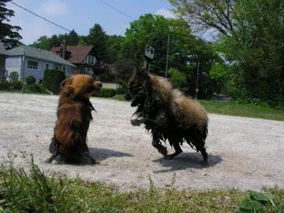 June8_04_136.JPG