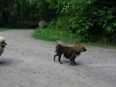 June8_04_175.JPG