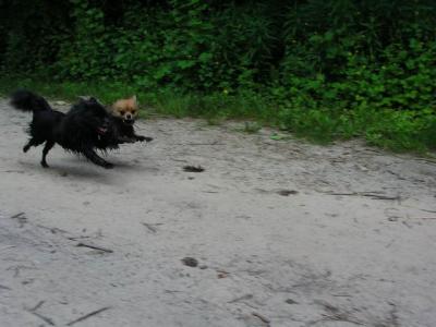 June8_04_178.JPG