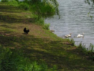 June8_04_194.JPG