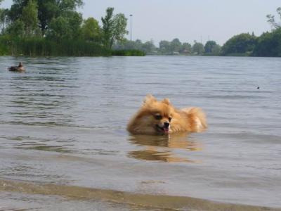 June8_04_195.JPG