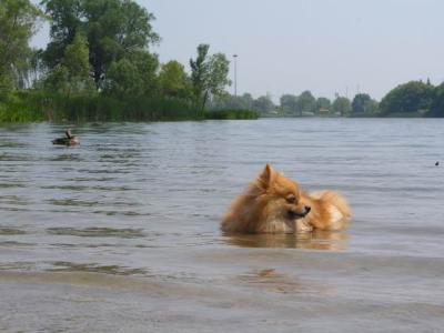 June8_04_196.JPG