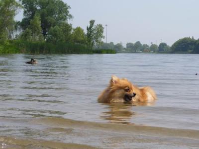 June8_04_197.JPG