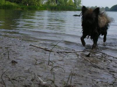 June8_04_204.JPG