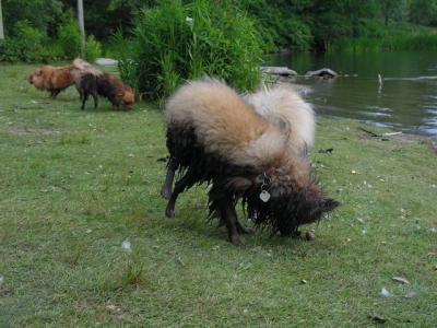June8_04_209.JPG