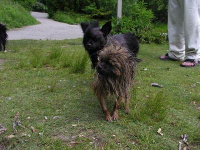 June8_04_238.JPG