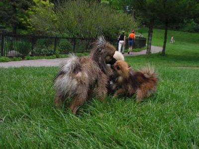 June8_04_325.JPG