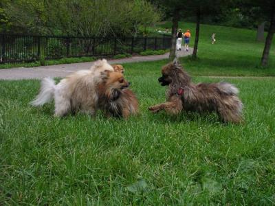 June8_04_327.JPG