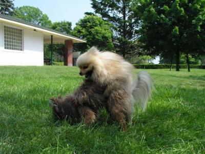 June8_04_352.JPG