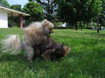 June8_04_354.JPG
