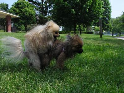 June8_04_355.JPG