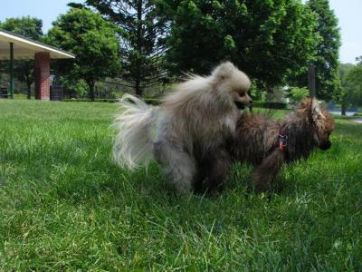 June8_04_357.JPG