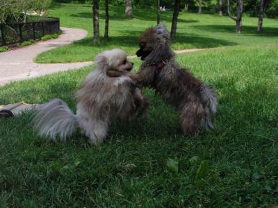 June8_04_370.JPG