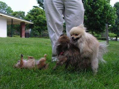 June8a_04_007.JPG
