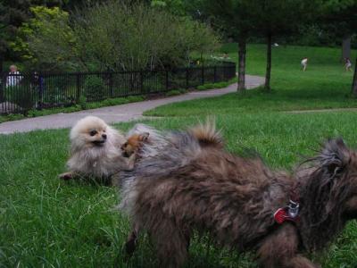 June8a_04_013.JPG