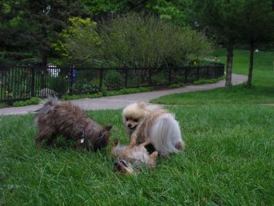 June8a_04_016.JPG