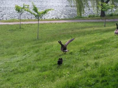 June8a_04_033.JPG