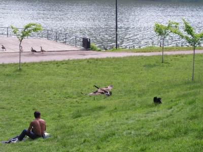 June8a_04_035.JPG