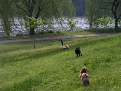 June8a_04_037.JPG