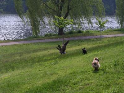 June8a_04_038.JPG