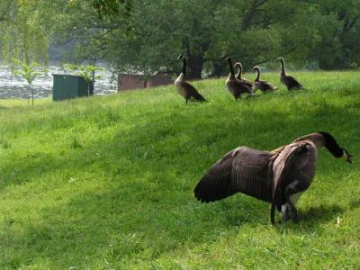 June8a_04_042.JPG