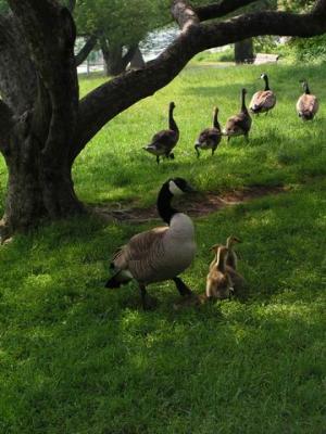 June8a_04_044.JPG