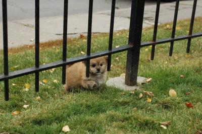 Oct18_04_272.JPG