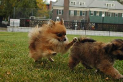 Oct18_04_289.JPG