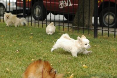 Oct18_04_315.JPG