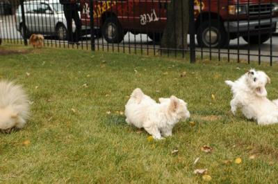 Oct18_04_318.JPG