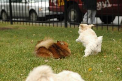 Oct18_04_326.JPG