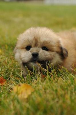 Oct18_04_340.JPG
