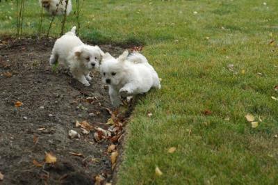Oct18_04_350.JPG