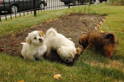 Oct18_04_355.JPG