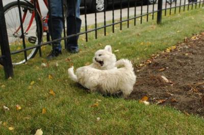 Oct18_04_366.JPG